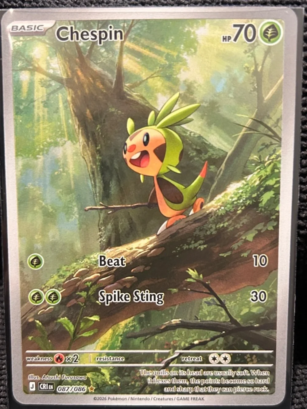 Pokemon Chespin Trading Card - Green, Brown